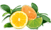 Airwick_Fragrances_1.1_Citrus.png